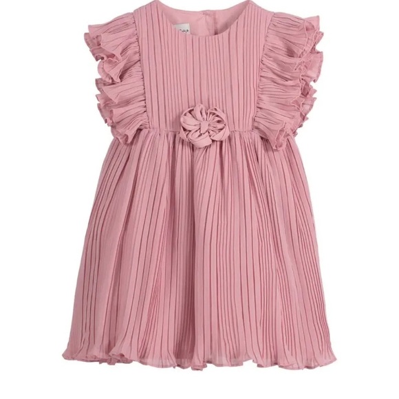 Pippa & Julie Other - Pippa & Julie Flutter Sleeve Pleat Chiffon Toddler Girl Dress 18m Rose Summer